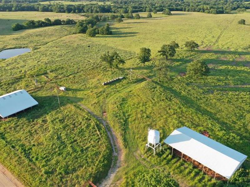 Sells Without Reserve Click : Depew : Creek County : Oklahoma