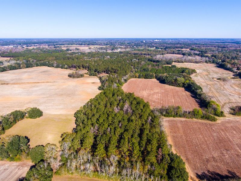 140 +/Acres Farmland And Timber Land for Sale in Blakely, Early