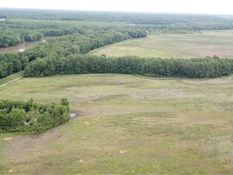 Farm Land for Sale Vigo County : Prairie Creek : Vigo County : Indiana