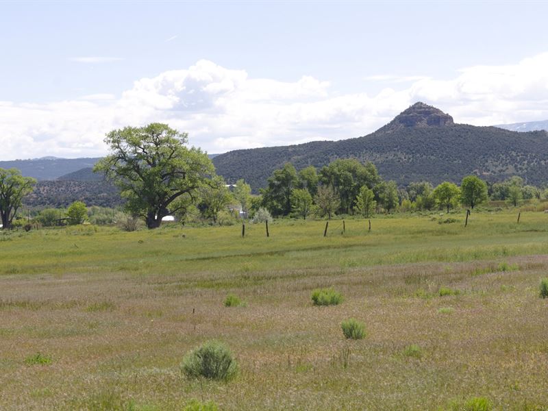 Colorado Mountain Development Land : Mesa : Mesa County : Colorado