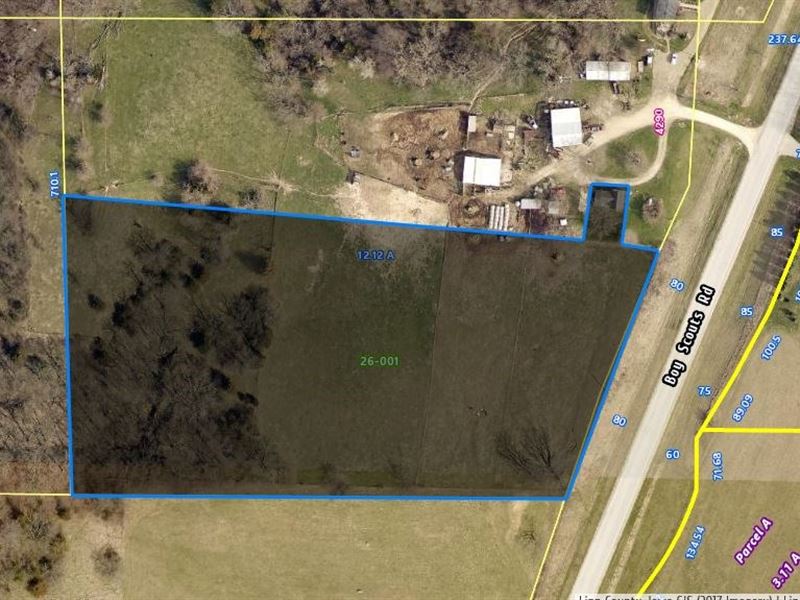 Land Along Wapsipinicon River : Central City : Jones County : Iowa