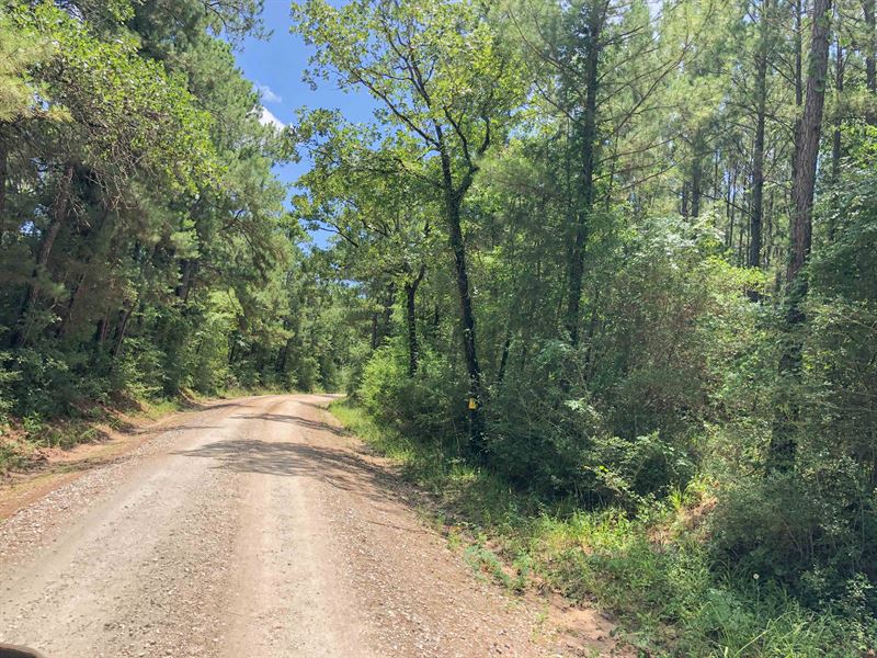 34 Acres Lost Indian Camp Road : Huntsville : Walker County : Texas