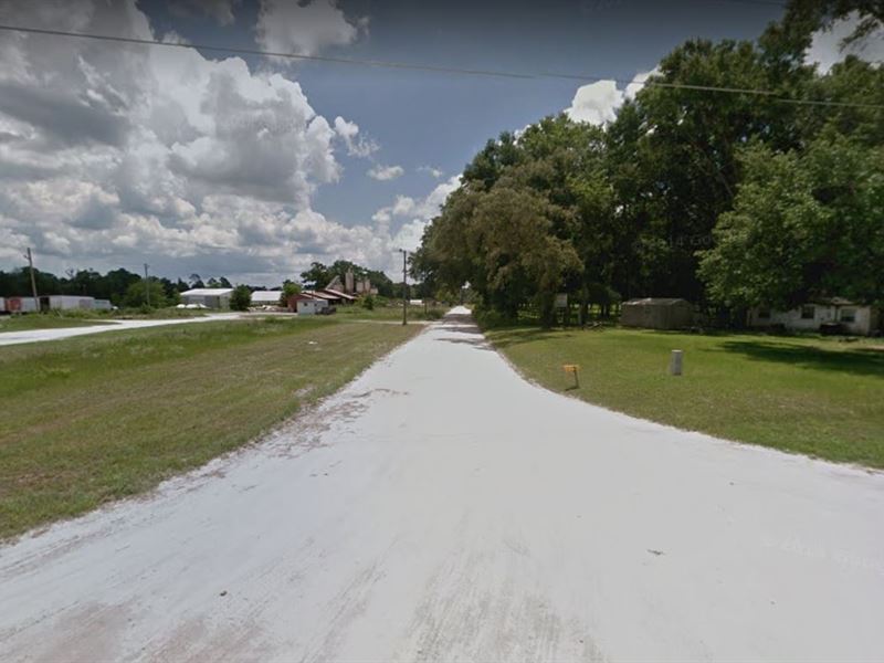 3 Lots for Sale in High Springs, Fl : High Springs : Alachua County : Florida