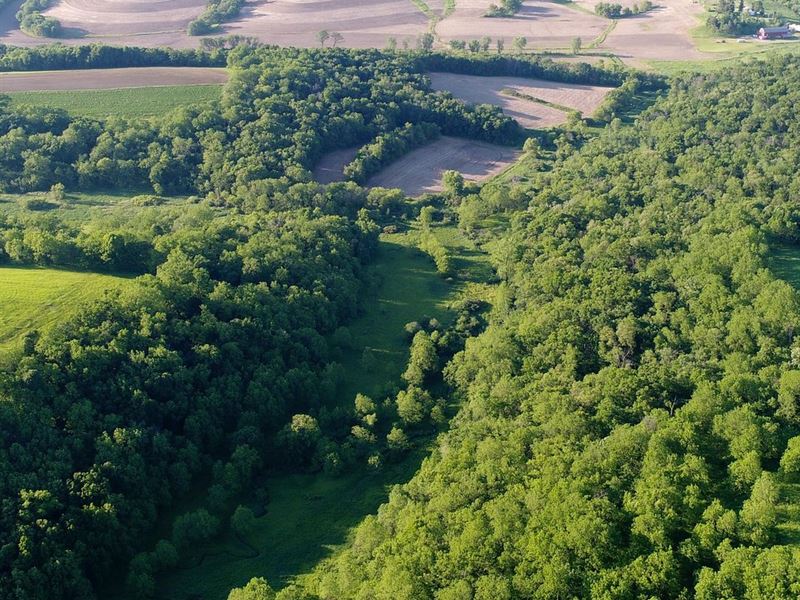 Creek Bottom Valleys & High Ridges : Blanchardville : Iowa County : Wisconsin
