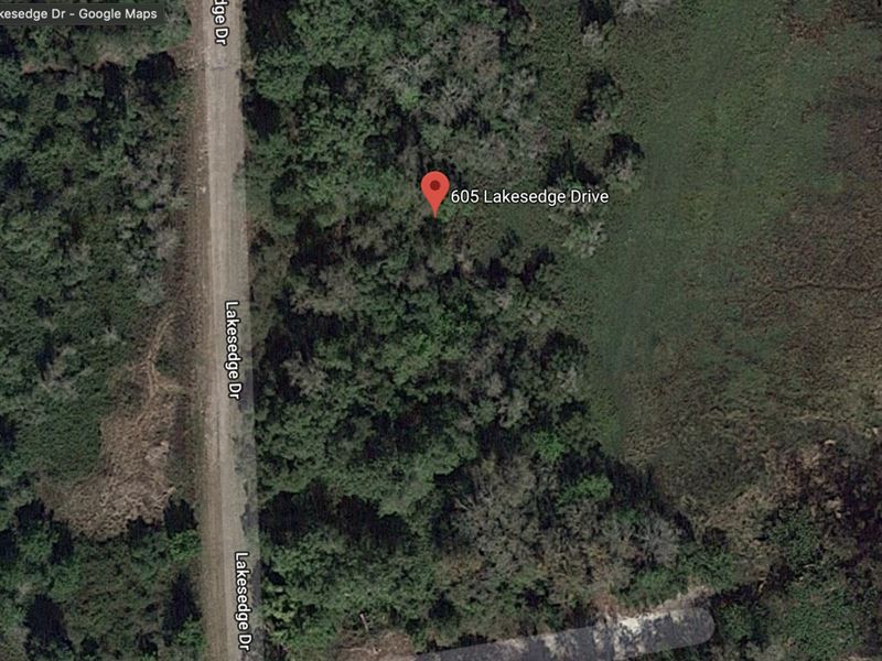.27 Acres for Sale in Lake Placid : Lake Placid : Highlands County : Florida