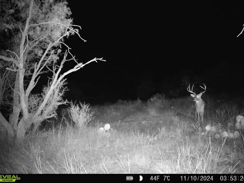 Cbarj Ranch 640 Acres Childress Cou : Childress : Childress County : Texas