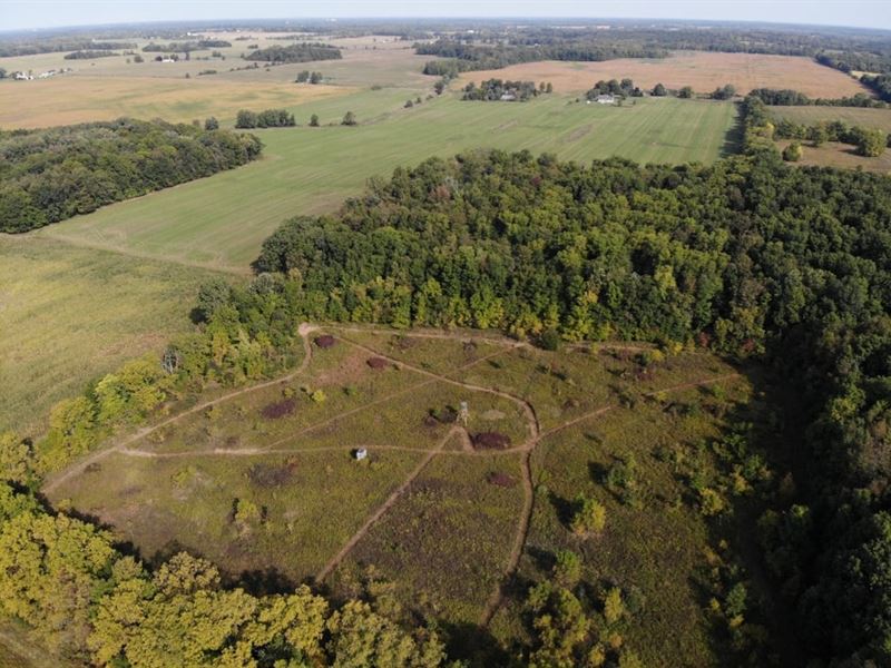 Hillsdale County 94.8 Acres : Reading : Hillsdale County : Michigan