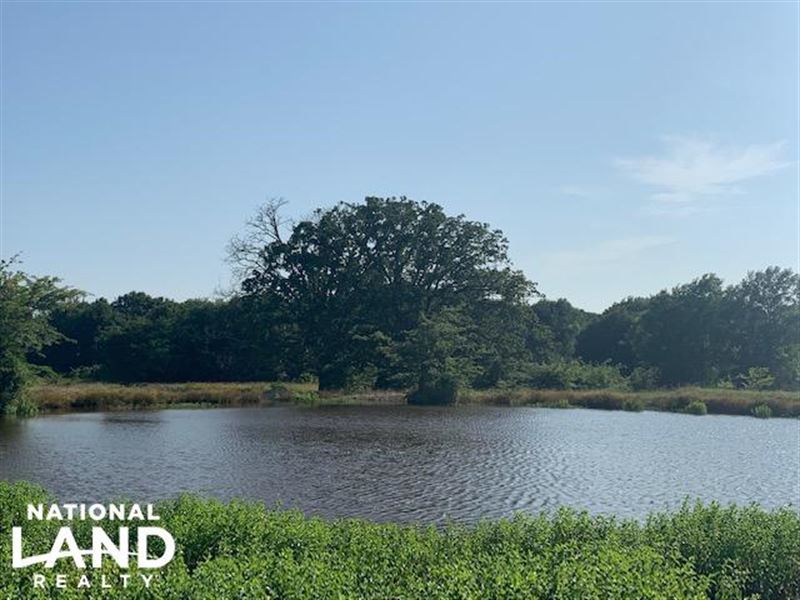 11.3 Ac in Eustace Isd, Pond : Eustace : Henderson County : Texas