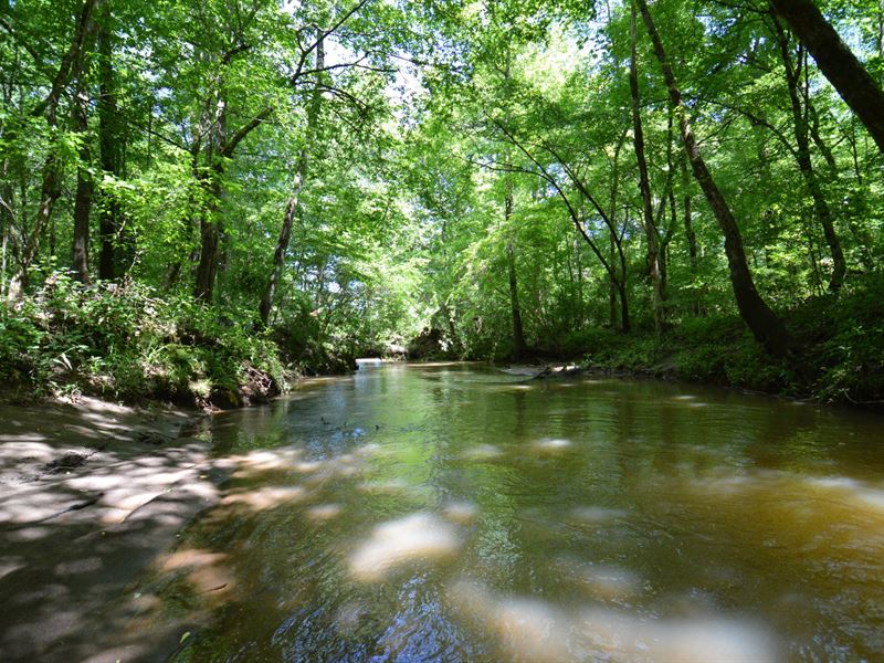 275+/- Acres Prime Hunting Land : La Fayette : Chambers County : Alabama
