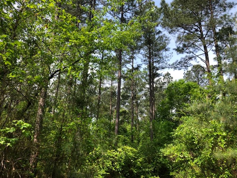 Middle Georgia Estates : Forsyth : Monroe County : Georgia