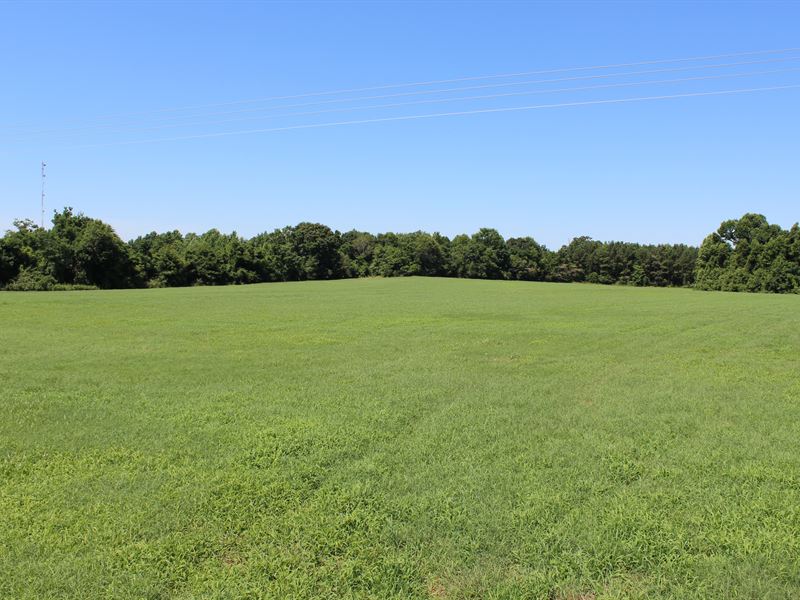 Beautiful Open Pastureland : Tuskegee : Macon County : Alabama