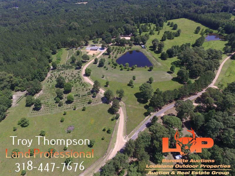 76.39 Acres And Country Home : Pollock : Grant Parish : Louisiana