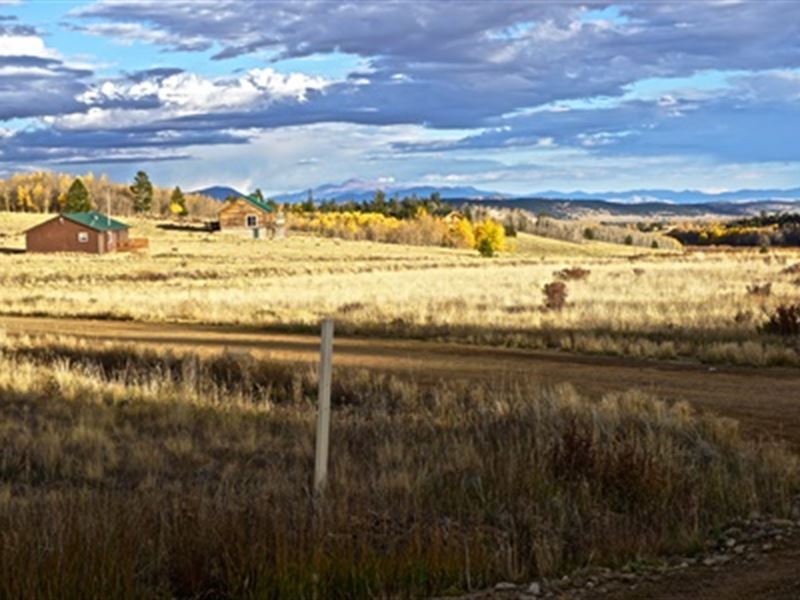 Summit County Escape Fairplay Land : Fairplay : Park County : Colorado