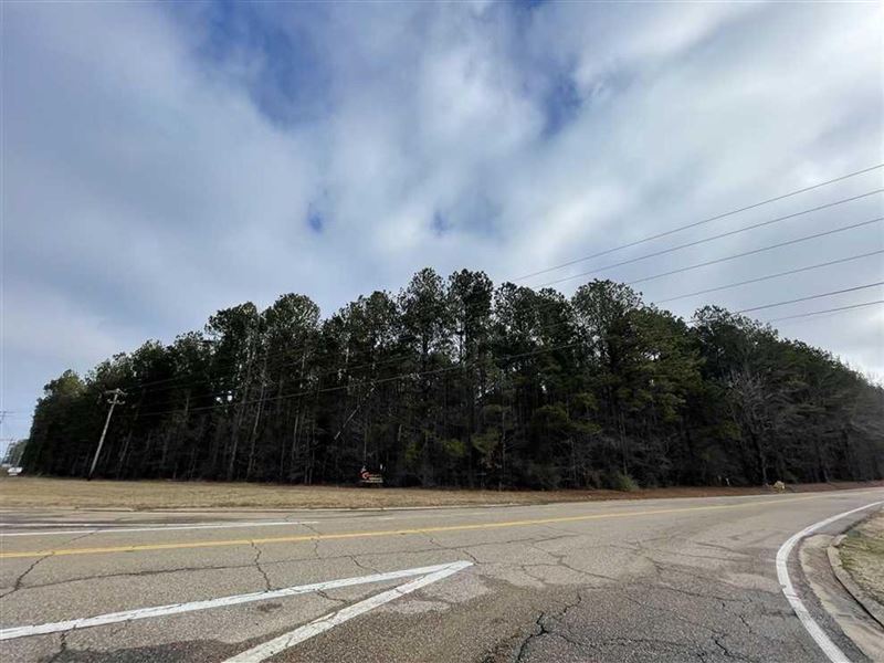 9.5 Acre Commercial Tract on Hwy 45 : Columbus : Lowndes County : Mississippi