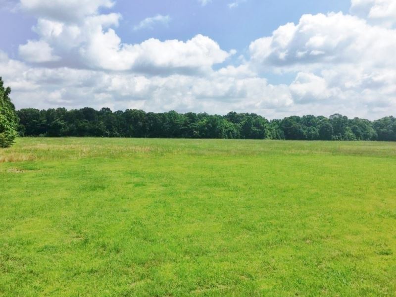 Hardwoods, Creek, Big Buck Land For : Pattison : Claiborne County : Mississippi