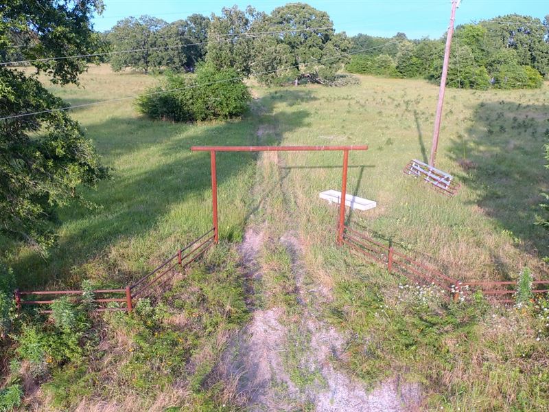 Recreational Hunting Land Property : Bogata : Red River County : Texas