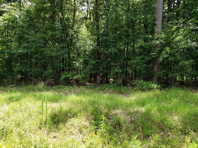 Louisiana Recreation Realtree : West Monroe : Ouachita Parish : Louisiana