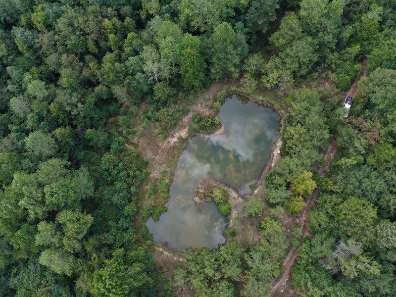 58 Acres in Billingsley : Billingsley : Autauga County : Alabama