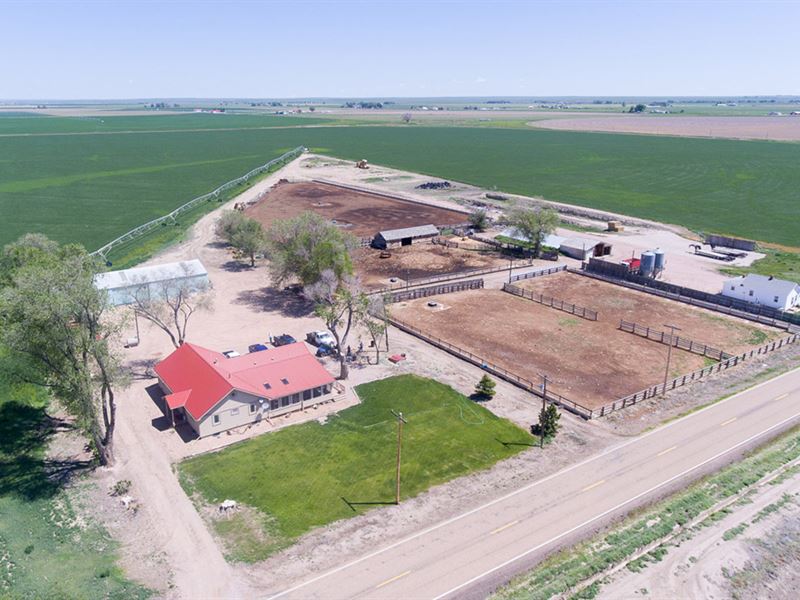 Isakson Irrigated Farm : Ault : Weld County : Colorado