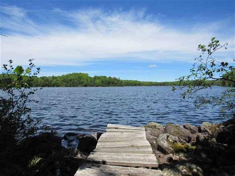 27622 Fence Lake Rd, Land for Sale in Michigan, 204988 LANDFLIP