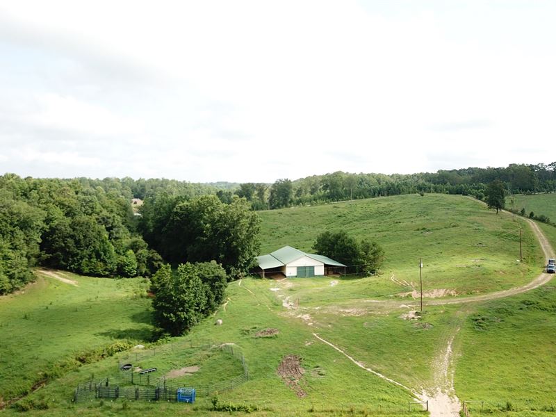 Lassetter Creek Farm : Buchanan : Haralson County : Georgia