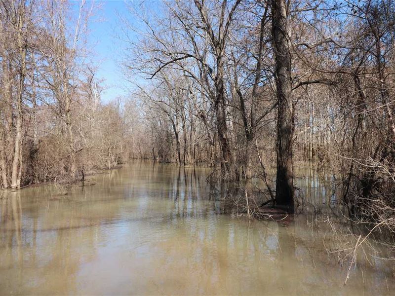 Price Reduced, Flooded Timber Duck Land for Sale in Portia, Lawrence