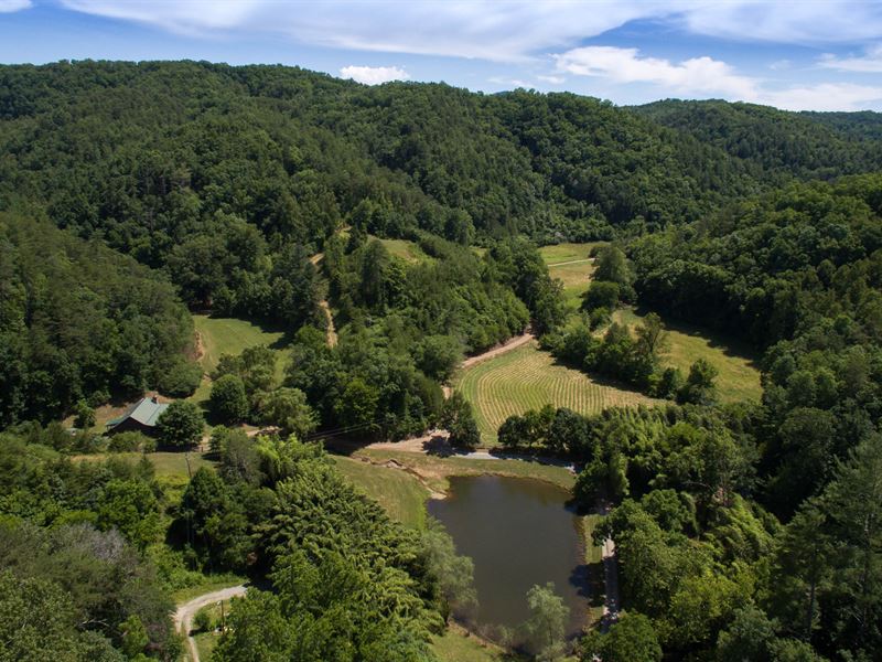 263 Acre Smoky Mountain Retreat Land for Sale in Vonore, Monroe