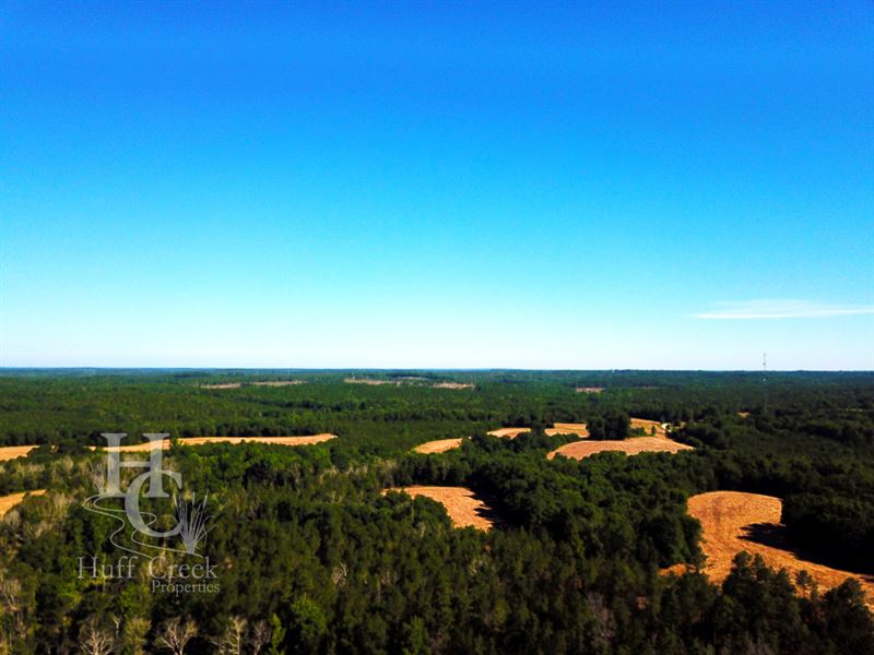 Beaver Creek Farm : Blair : Fairfield County : South Carolina