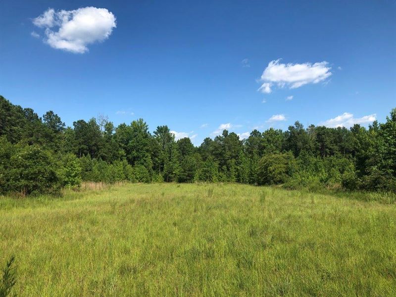 Circle Key Acres : Sparta : Hancock County : Georgia