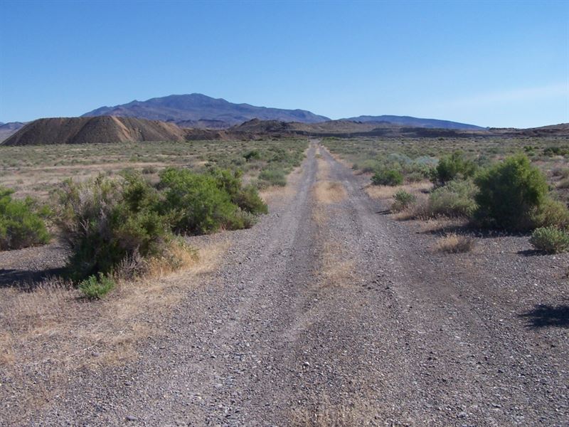 Awesome, Paved Access, $325 P/Mo : Lovelock : Pershing County : Nevada