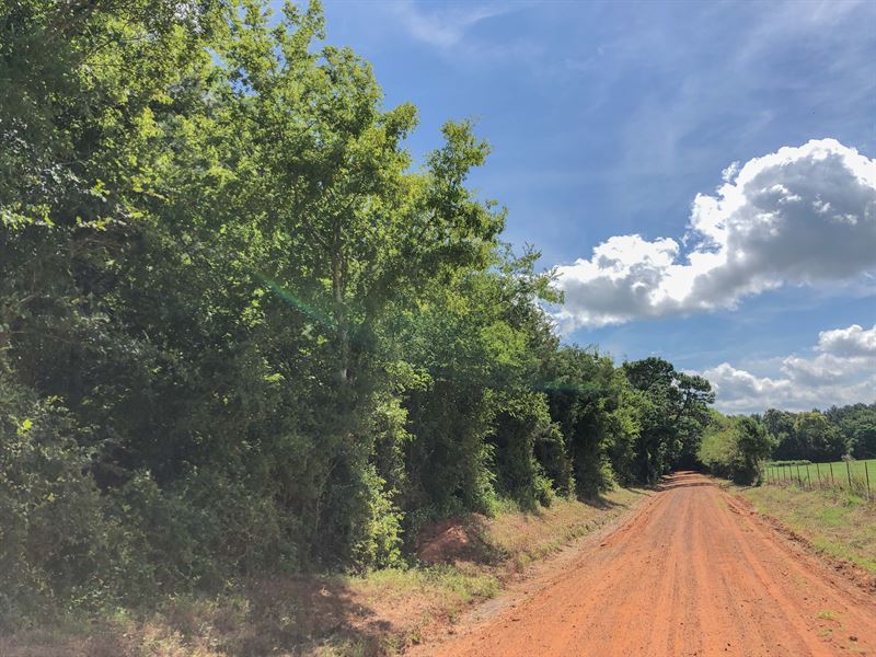 33 Acres Cr 1410 C : Jacksonville : Cherokee County : Texas