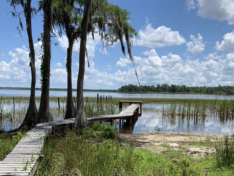 Lake Gentry Lakefront : Saint Cloud : Osceola County : Florida