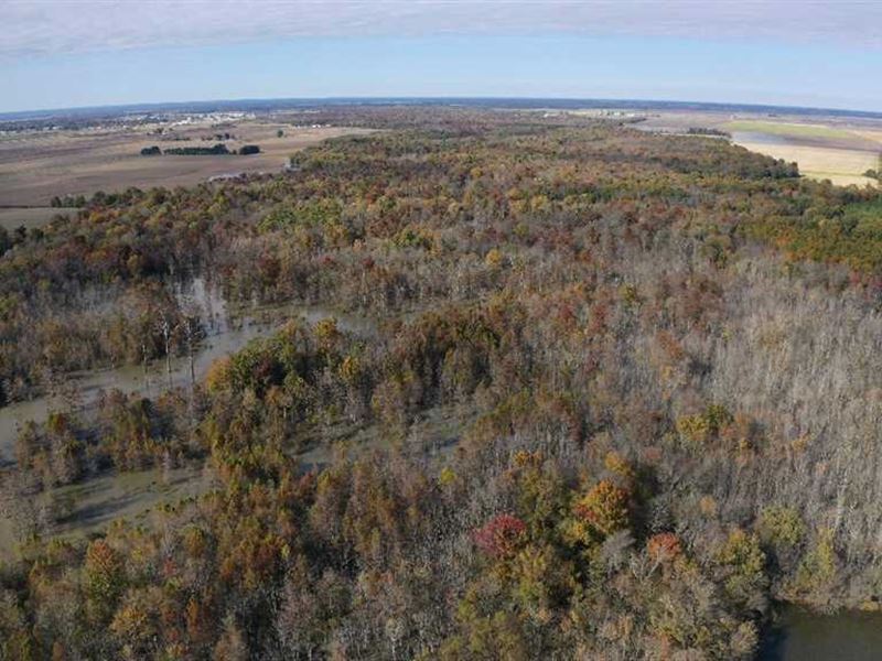 320 Acres, Duck & Deer Hunting : Newport : Jackson County : Arkansas