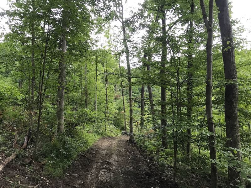 Pert Hill Rd, 28 Acres : Falls : Muskingum County : Ohio