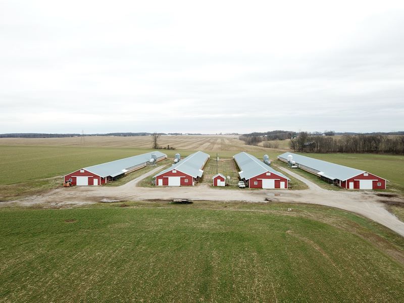 4 House Breeder Hen Farm : Adairville : Logan County : Kentucky