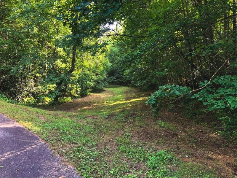 Wilkes County VA Real Estate : Ferguson : Wilkes County : North Carolina