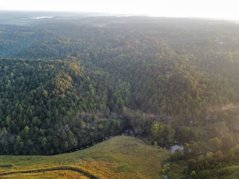 Town Creek Farm : Empire : Walker County : Alabama