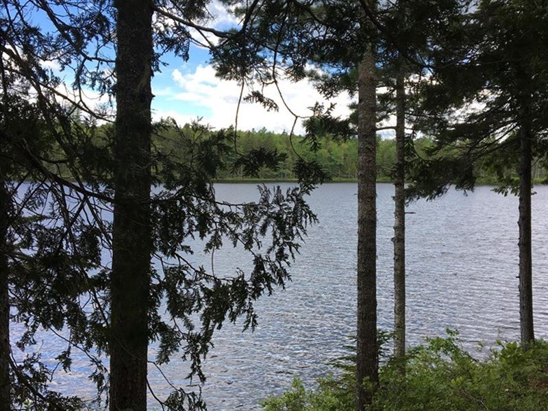 Lakefront Land Wesley, Maine Real Land for Sale in Wesley, Washington