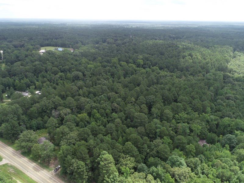 Recreational Timberland, Utilities : Mount Holly : Union County : Arkansas