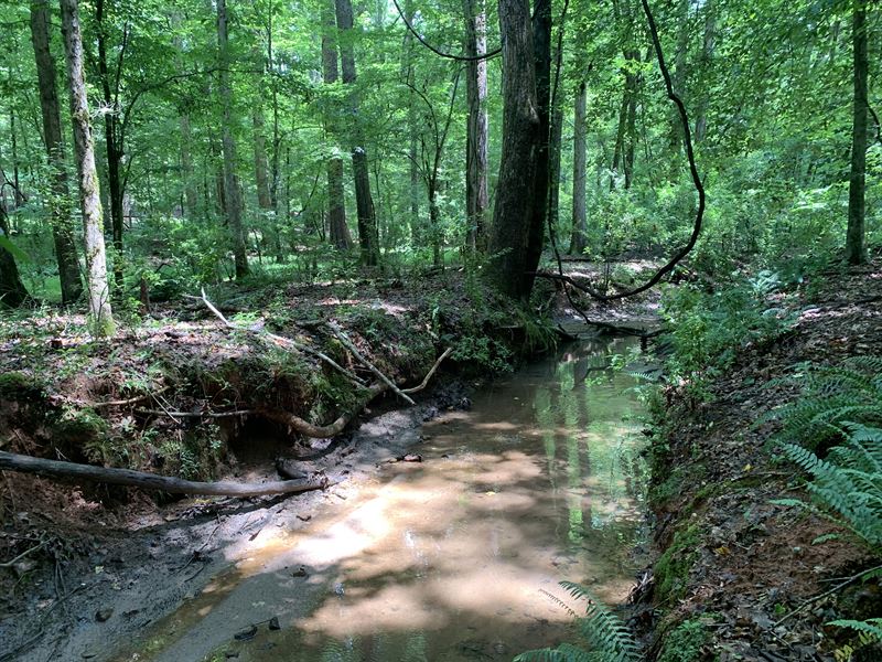 Middlebrooks Tract : Watkinsville : Oconee County : Georgia