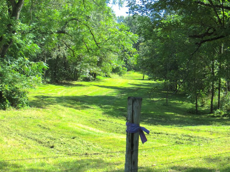 Land for Sale with Cabin in Mo : Thayer : Oregon County : Missouri