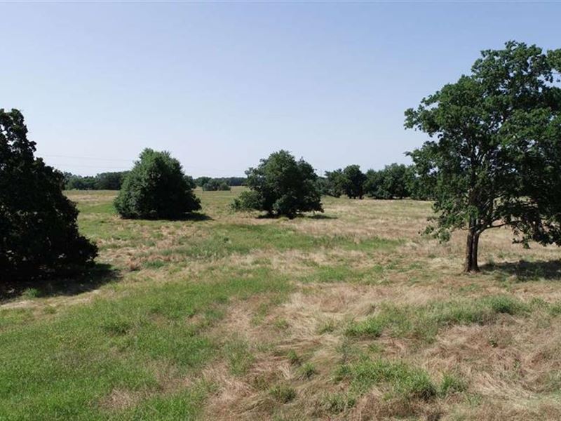 Pasture Land with Pens and Corral : Cooper : Delta County : Texas