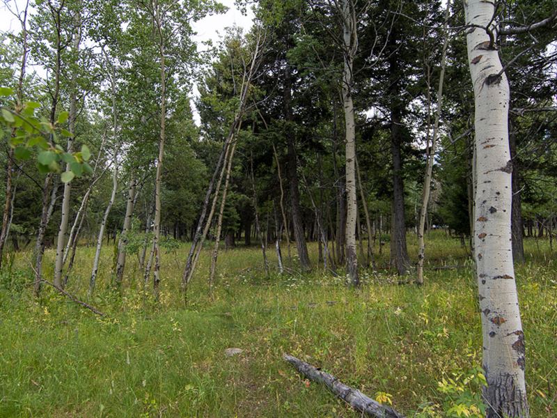 Grassy Mtn Retreat Parcel 1 : Townsend : Meagher County : Montana