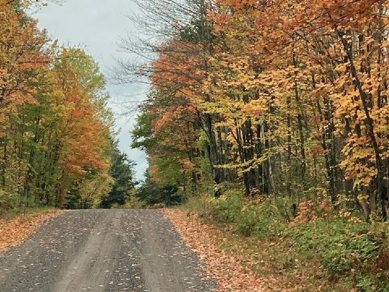 Gogebic County 7.21 Acres : Watersmeet : Gogebic County : Michigan