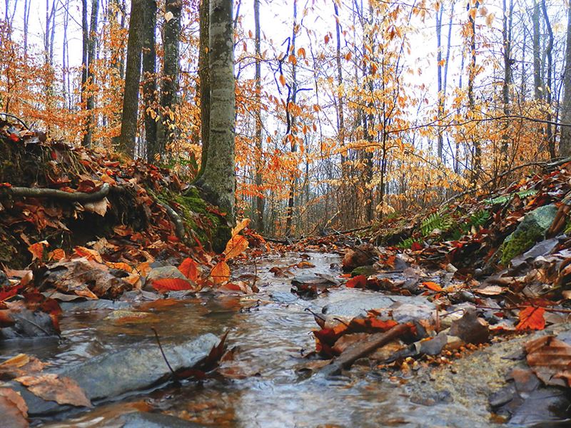 Little Maumelle River : Ferndale : Pulaski County : Arkansas