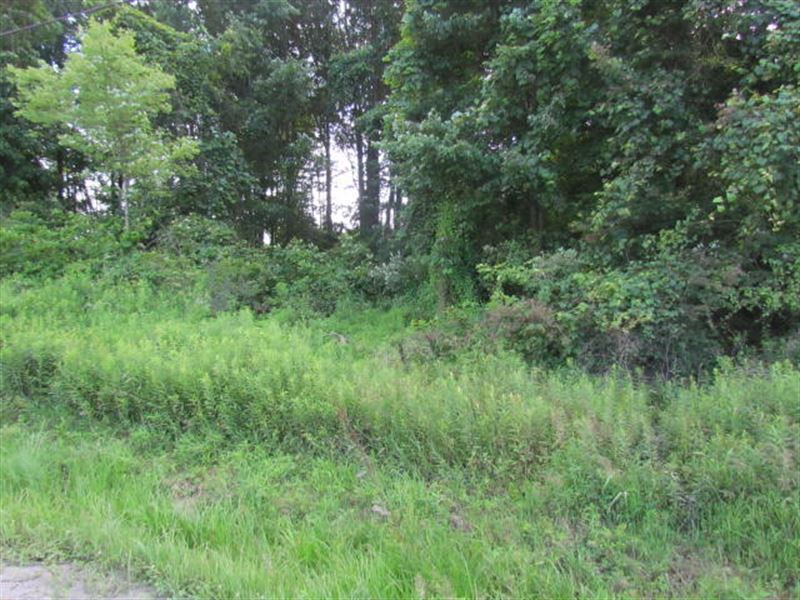 Conveniently Located Building Lot : Benton : Columbia County : Pennsylvania