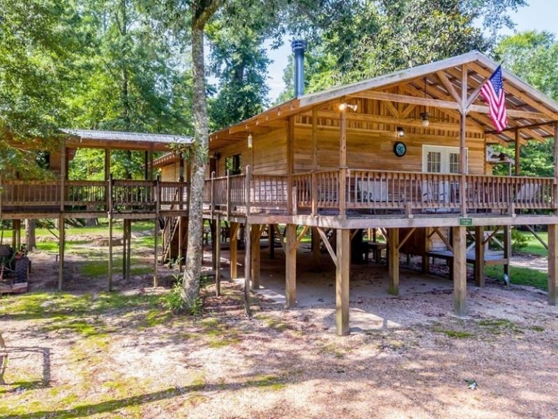 104 Acres with A Cabin in Jefferson : Mount Olive : Jefferson Davis County : Mississippi