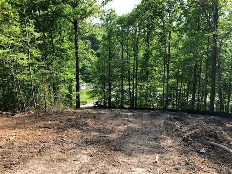 Land For Sale in Franklin TN Land for Sale in Franklin, Williamson