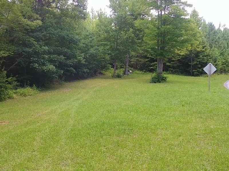 23 Acres Hunting Land Henry County : Chatmoss : Henry County : Virginia