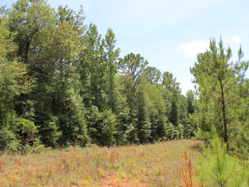 Outstanding Lot Near West Point, GA Land for Sale in West Point